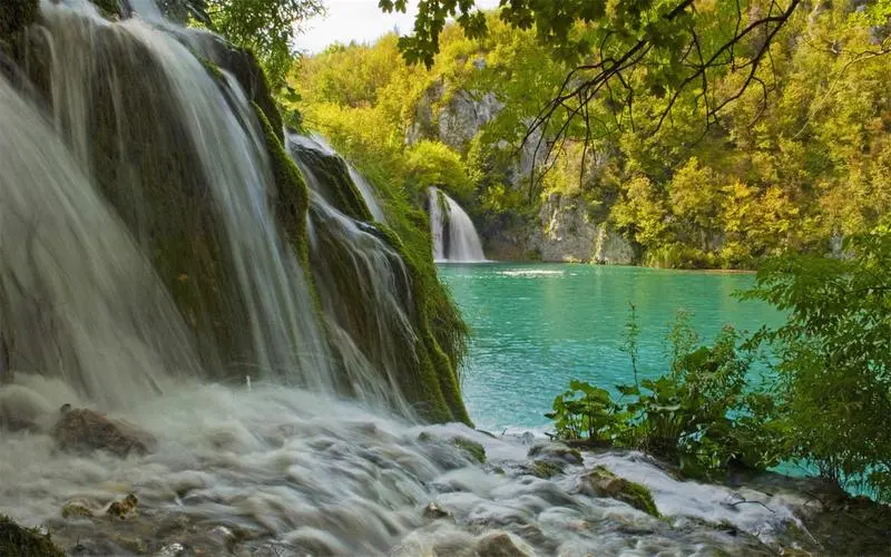 节能全自动环保